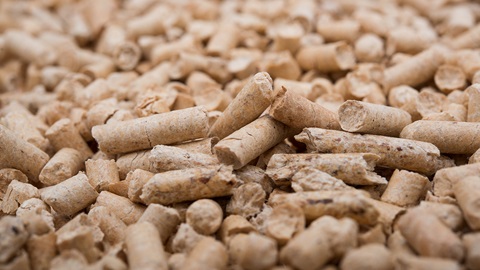 pellet